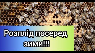 :  ?   ?  !