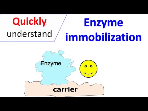 Video: Hvad menes der med enzymimmobilisering?