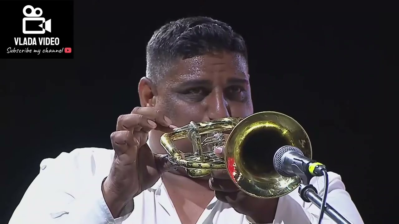 Elvis Bajramović orkestar Elvisa Bajramovića Guča 2024 - finalno takmičenje trubača