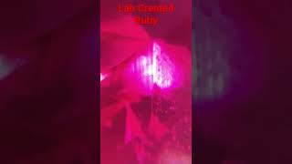 Lab Created Ruby #gemology 🔬