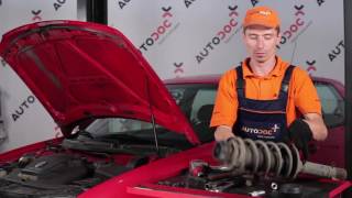 Hoe Veerpootlagers veranderen VW LOAD UP - handleiding