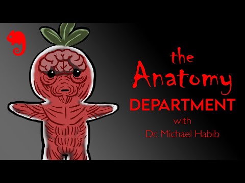 Uncovering the Secrets of an Abandoned Anatomy Department | Trick or Tales