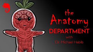 Uncovering the Secrets of an Abandoned Anatomy Department | Trick or Tales