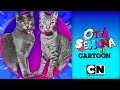 Cartoon Network | ¡Otra semana en Cartoon! | Episodio 8| 2015