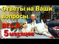 ИНДЮКИ. ПРОПОЙКИ. МЕТРОНИДАЗОЛ. ОТВЕТЫ НА ВОПРОСЫ.