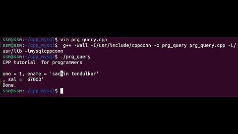 Cpp  with MySQL  execute query