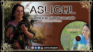 Aslıgül - Anladımki Ne Dümenin Var Senin Resimi