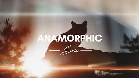 GH5 anamorphic - A silly cat video [180fps]