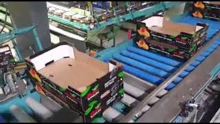 Controlled conveyor system- Eshet Eilon