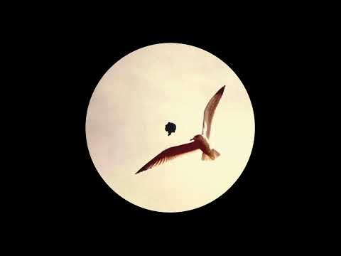 Guarda Pope Grääs - Freedom Has No Limits su YouTube