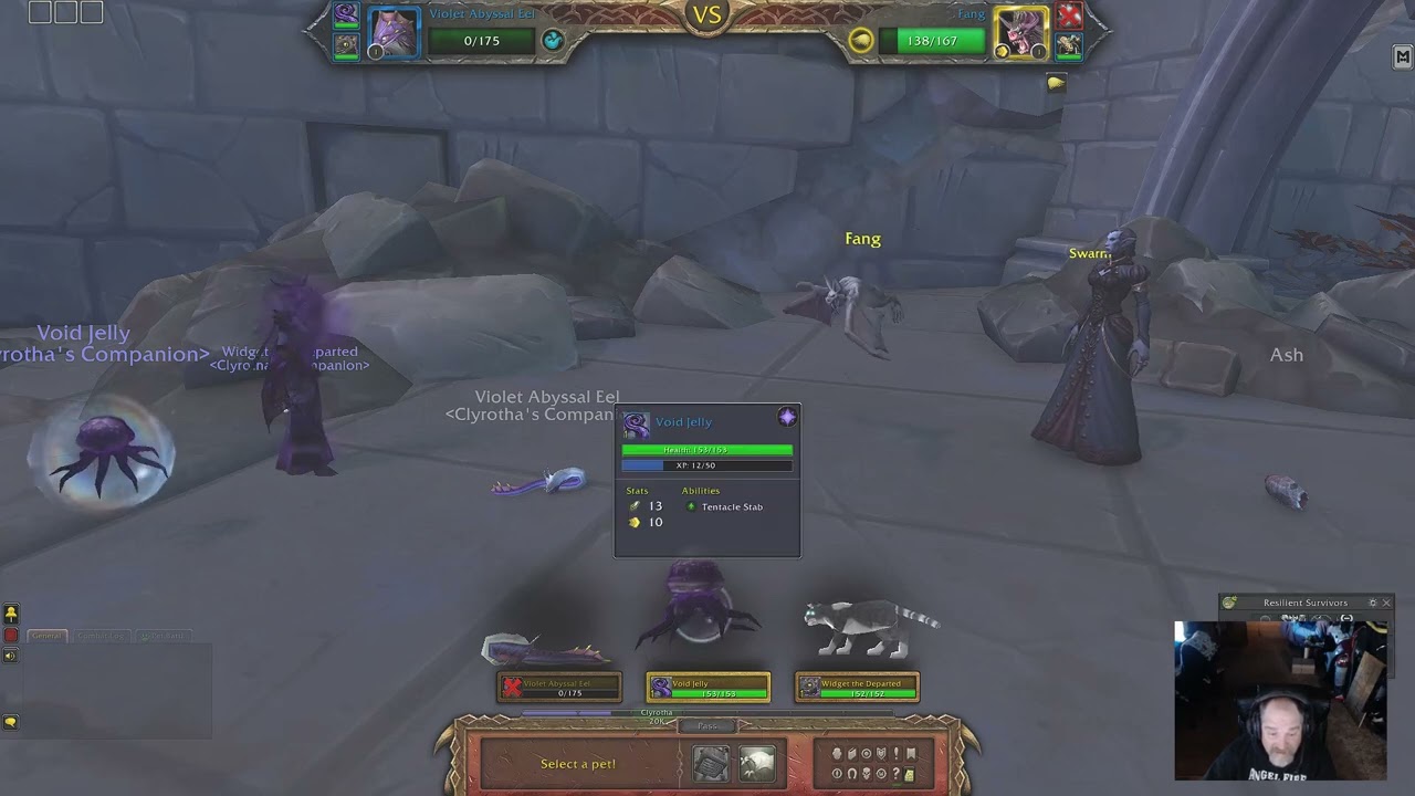 Sylla Pet Battle Level 1 Pets