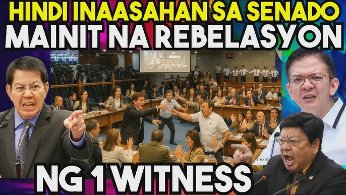 LAGOT NA! DAMAY DAMAY na sa BAGONG REBELASYON ng 1 WITNESS. SENADO NAGKAGULO