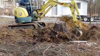 Removing Stump with Small Excavator