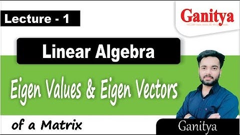 Eigen values ​​& Eigen vectors | Linear Algebra | Ganitya