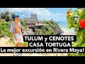 TULUM y CENOTES CASA TORTUGA, La MEJOR excursión en la RIVERA MAYA!  Espectacular y BARATO!