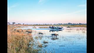 Un Viaggio in Botswana, Elephant Valley Lodge in Chobe - Hoaexp.com -