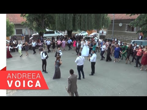 Andreea Voica - Brauri live (Bistrian si Icoana Plugova)