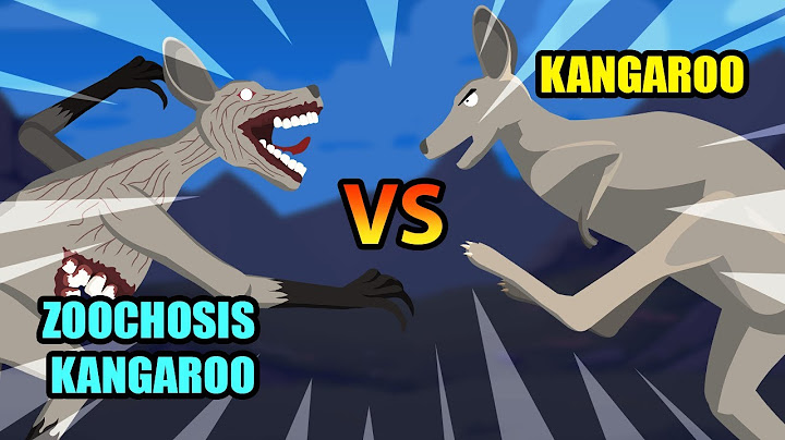 Zoochosis Kangaroo vs Kangaroo | Monster Animation