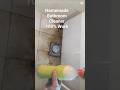 #homemade#cleaner#bathroom #diy #howto #ytshorts #shortvideo #fahmiiscookingandkitchenhacks #viral