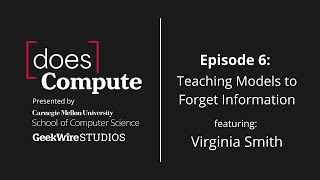 Teaching Models to Forget Information