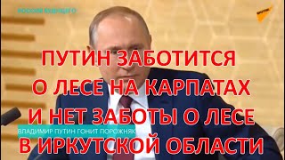 Путин бревно в своём глазу не видет