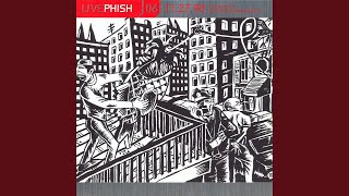 Video thumbnail of "Phish - Dogs Stole Things"