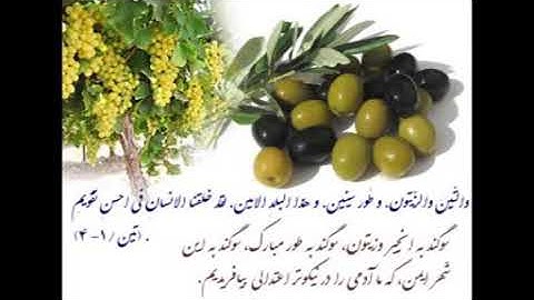 سوره تین با صدای زیبای یوسف کالو