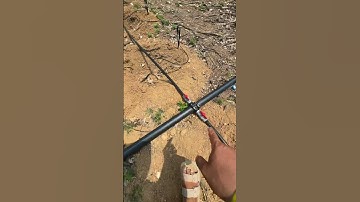 Cách lắp hệ thống tưới cho cây cà phê