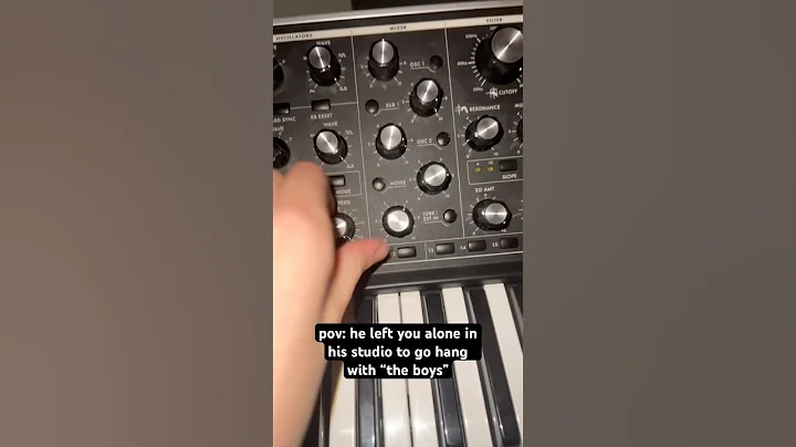 i don’t make the rules here #musicproducer #recordingstudio #femaleproducer #moog #synth