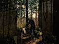David Stanley Hewett - In an Instant. Karuizawa - Japan