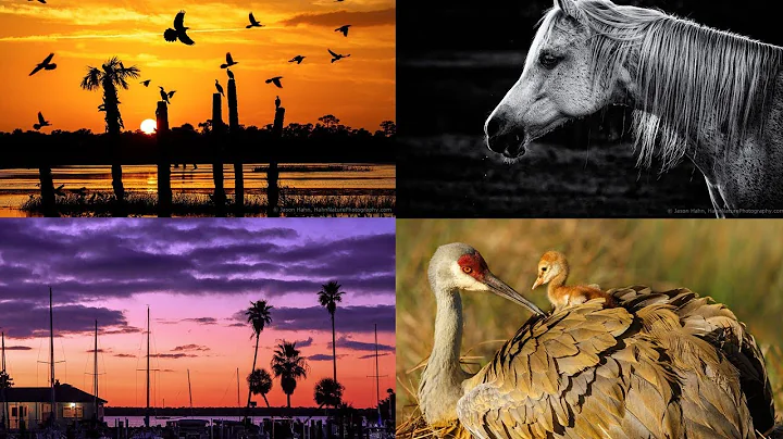 The Great Outdoors: Landscape and Nature with Jaso...