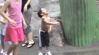 Biggest Temper Tantrum At Disney. Forget Harlem Shake...this Is The Jordan Shake