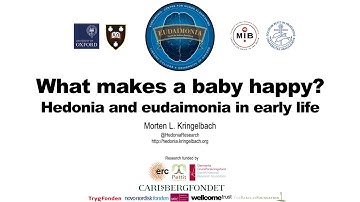 2 Morten Kringelbach. The 2024 Swedish Conference on Ultra-Early intervention