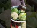 Harvesting Organically Grown Cauliflower, Cabbage and Purple Eggplants #homegrown #gardening #shorts