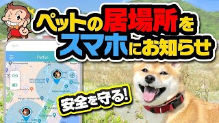 犬 猫 ペット用　迷子、忘れ物をアプリで追跡GPSトラッカー　脱走者のアクティビティにも活躍