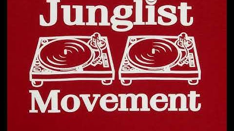 Jungle & Drum and bass - 2h mixing - Jungle 4ever - Jungle4drive ;) -