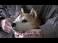 ナナとおじいちゃん！ナナの寝息も聞こえるよ