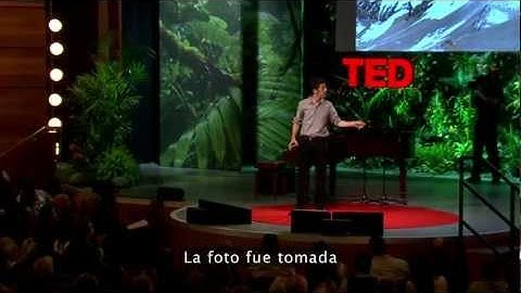 Kevin Slavin: Cómo los algoritmos configuran nuestro mundo. TED 2011 Español Sub