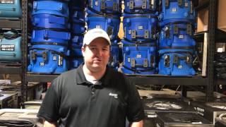 Celebrity Does Bleach Kill or Treat Mold? Wealth