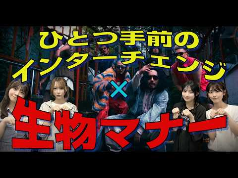 【乃木坂46】ひとつ手前の生物マナー【梅田サイファー】