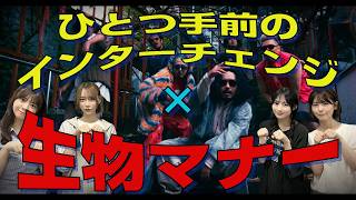 【乃木坂46】ひとつ手前の生物マナー【梅田サイファー】