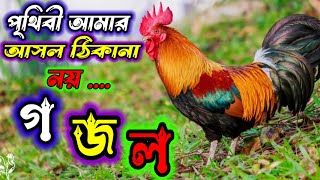 পৃথিবী আমার আসল ঠিকানা নয় Prithibi Amar Asol Thikana Noy গজলislamic banglagaan