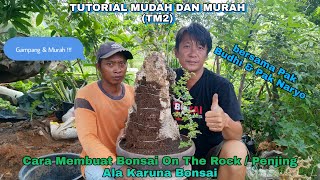 PEMULA WAJIB NONTON, Cara Membuat Bonsai On The Rock / Penjing Ala Karuna Bonsai