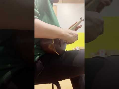 Discover The Soulful Melodies Of The Setar With Shadi Poroshani At Tehran Pars Music Institute