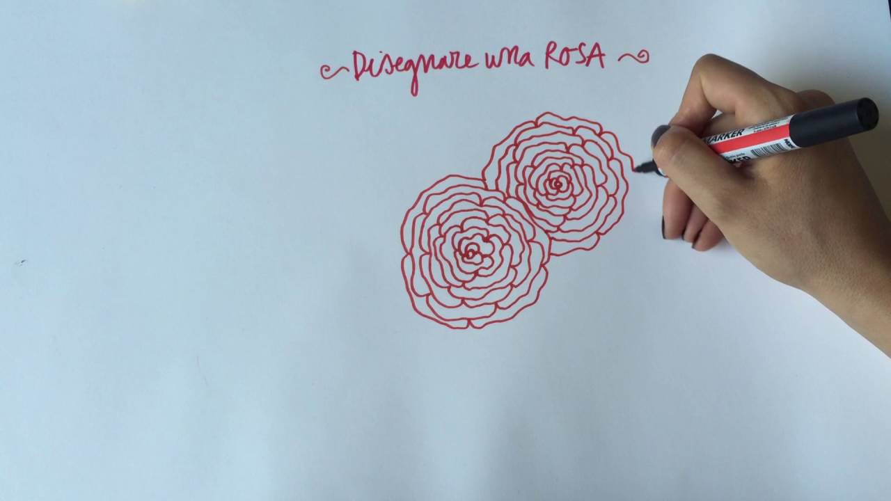 Come Disegnare Una Rosa Youtube