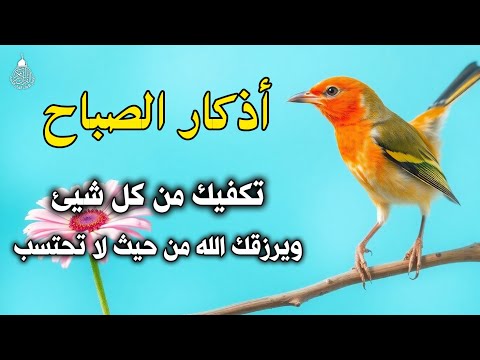 اذكار الصباح راحة نفسية لا توصف حصن نفسك وبيتك من الشيطان علاء عقل Morning Athkar By Alaa Aql