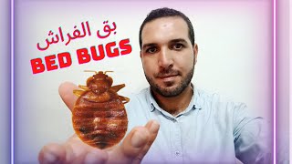 علامات تواجد حشرت بق الفراش ,,Bed Bugs ,, في المنزل ( بق في المنزل )