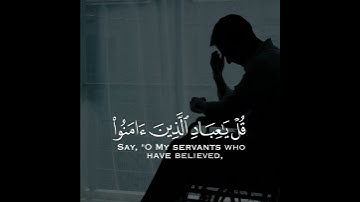 تلاوة هادئة وقصيرة  || القارئ : أحمد النفيس || سورة : الزمر 🌷💚🌷