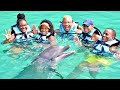 WE WENT SWIMMING WITH DOLPHINS | QUITE PERRY