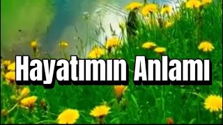 Hayatımın Anlamı-Meaning of my life Song Original- Romantic Songs of the year